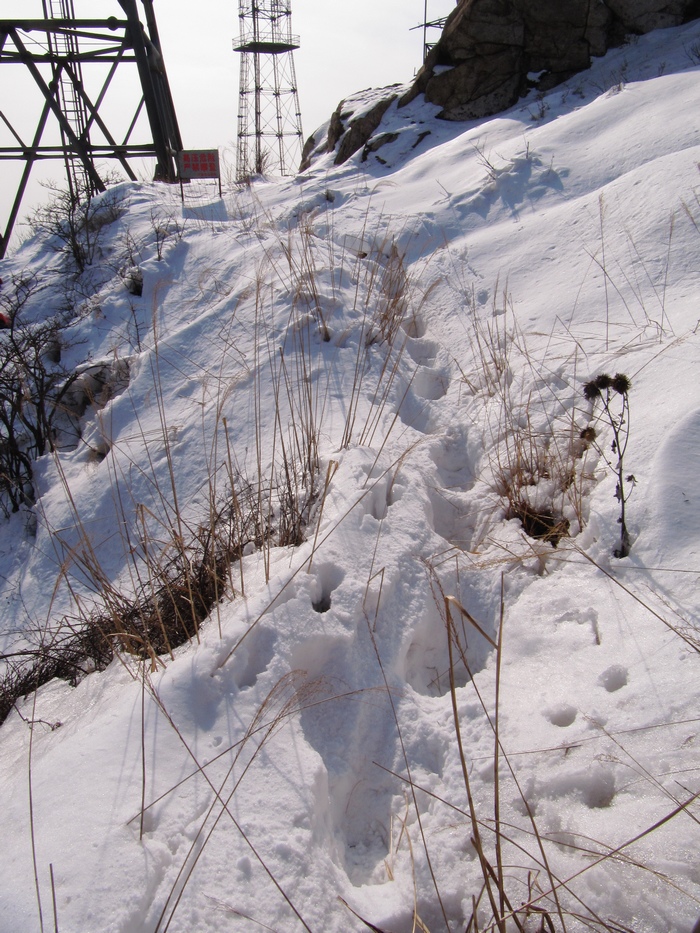 元月十四日踏雪昆嵛山 158.jpg