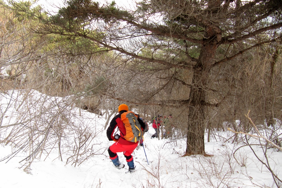 元月十四日踏雪昆嵛山 194-02.jpg