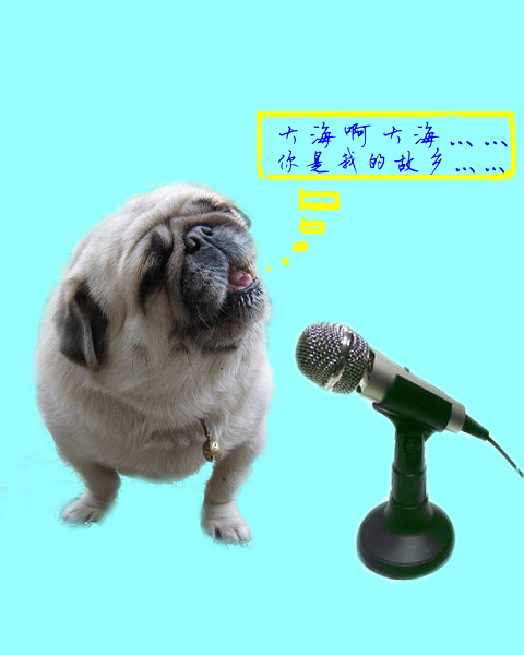 歌唱的丹丹.jpg