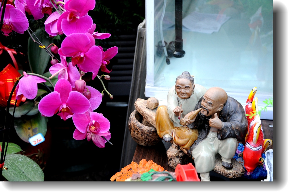 1201201004d4caf422cb5a10d9.jpg