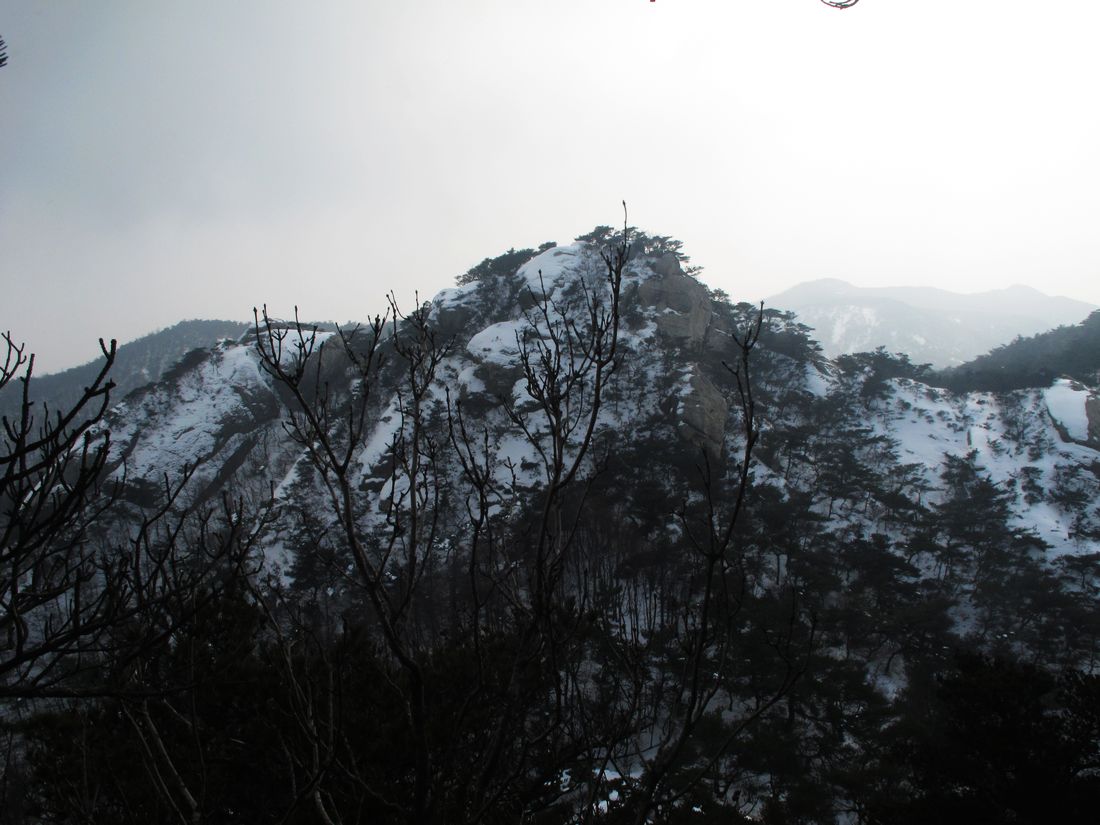 nEO_IMG_2012-1-27饮马沟环线 062.jpg