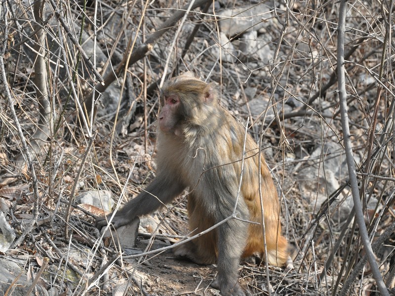 PhotoCap_124.jpg