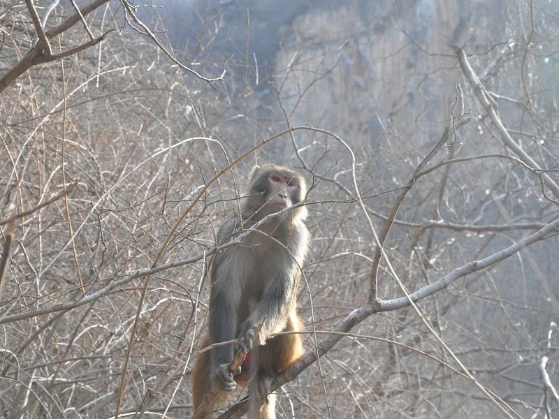 PhotoCap_126.jpg