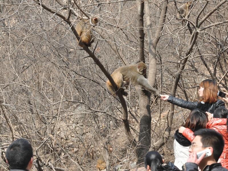 PhotoCap_130.jpg