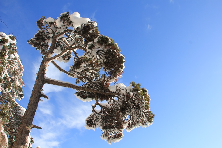 2012春节安徽行 031-02.jpg
