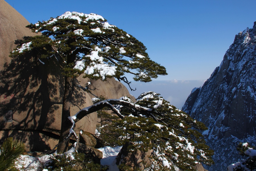 2012春节安徽行 372-02.jpg