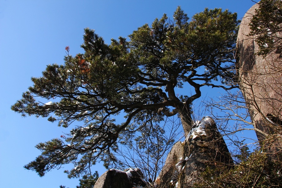 2012春节安徽行 398-02.jpg