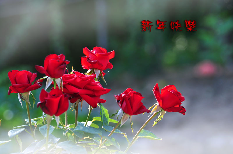 新年.jpg