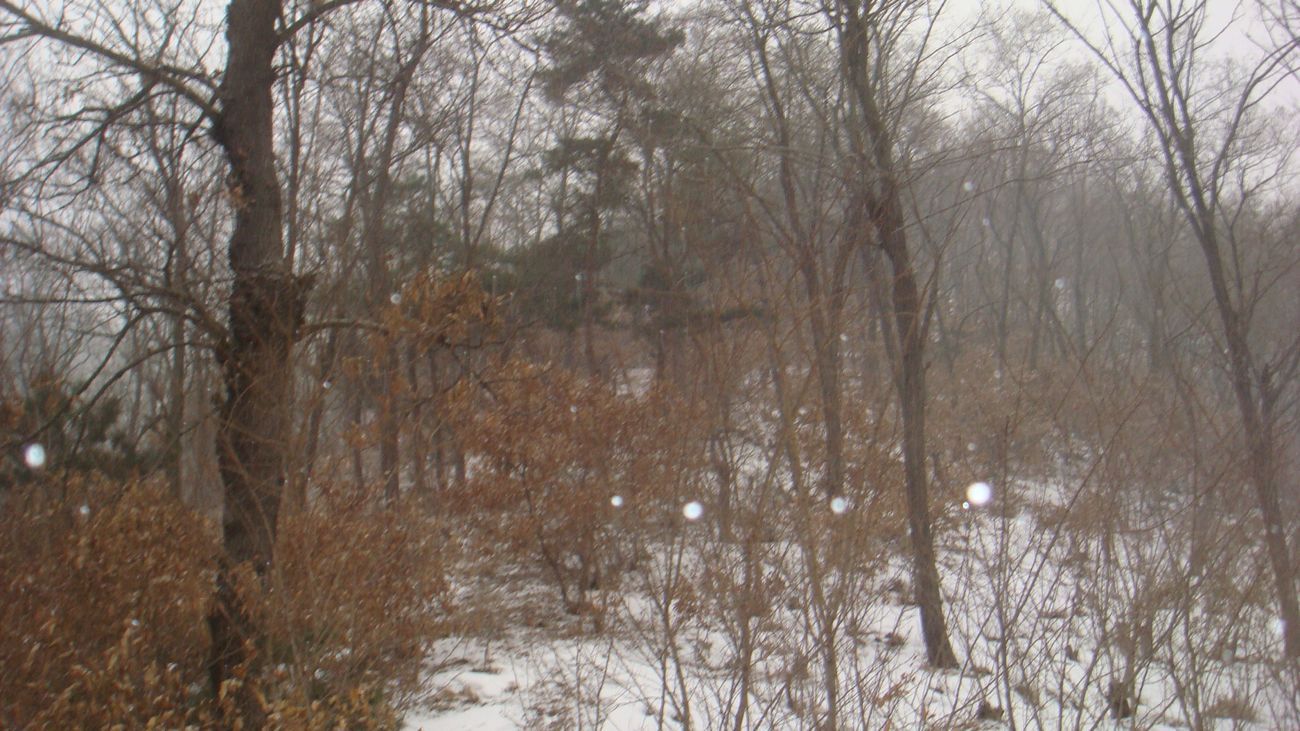DSC08367.JPG