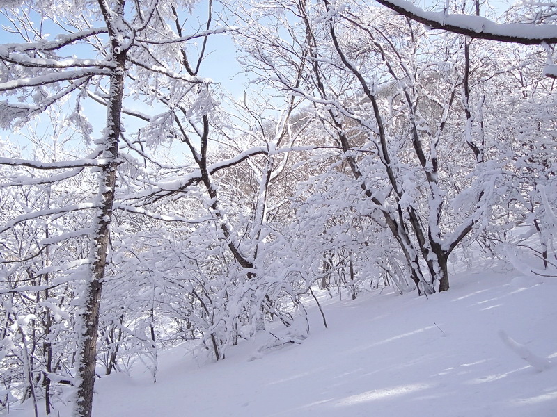 DSC09195.jpg