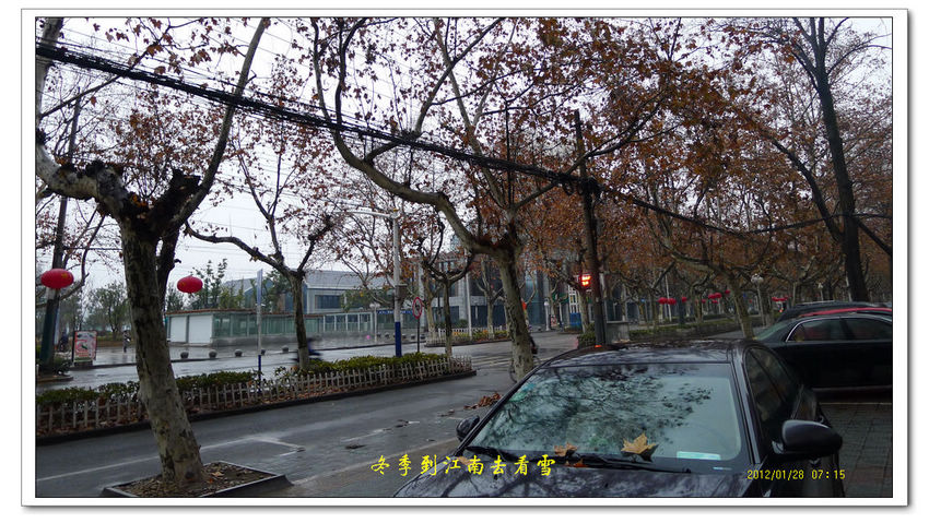P1080803.jpg