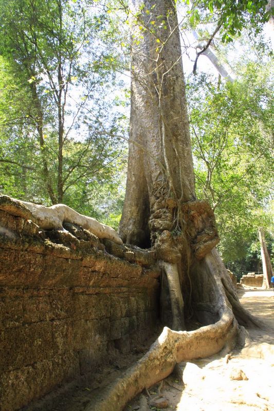 _MG_1527.jpg