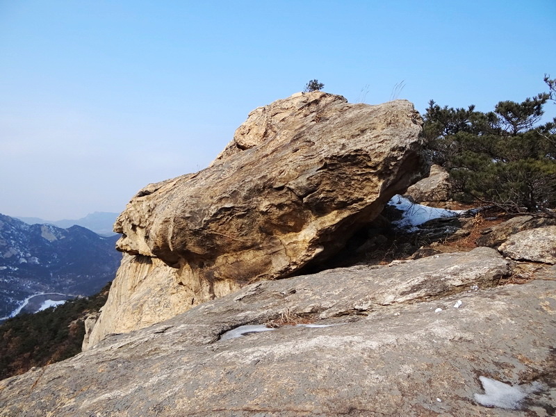 DSC09622.jpg