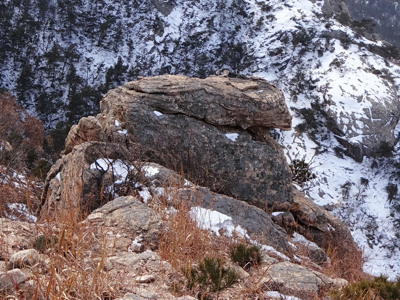 DSC09635.jpg