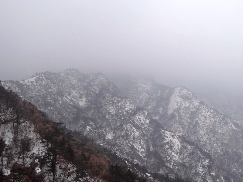 DSC09727.jpg