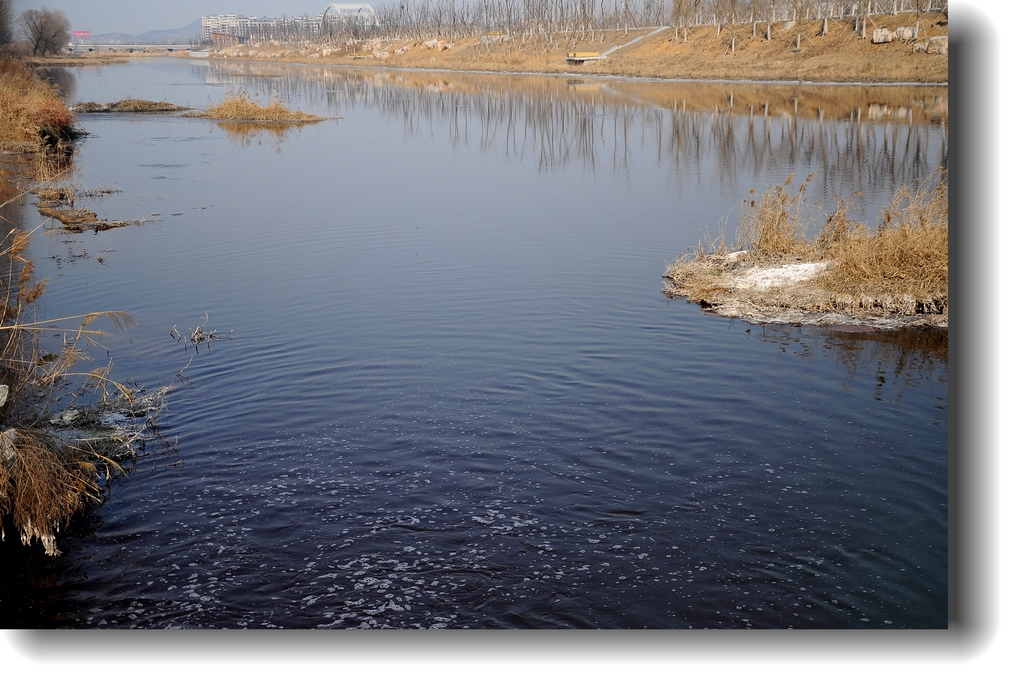 DSC_9769.jpg