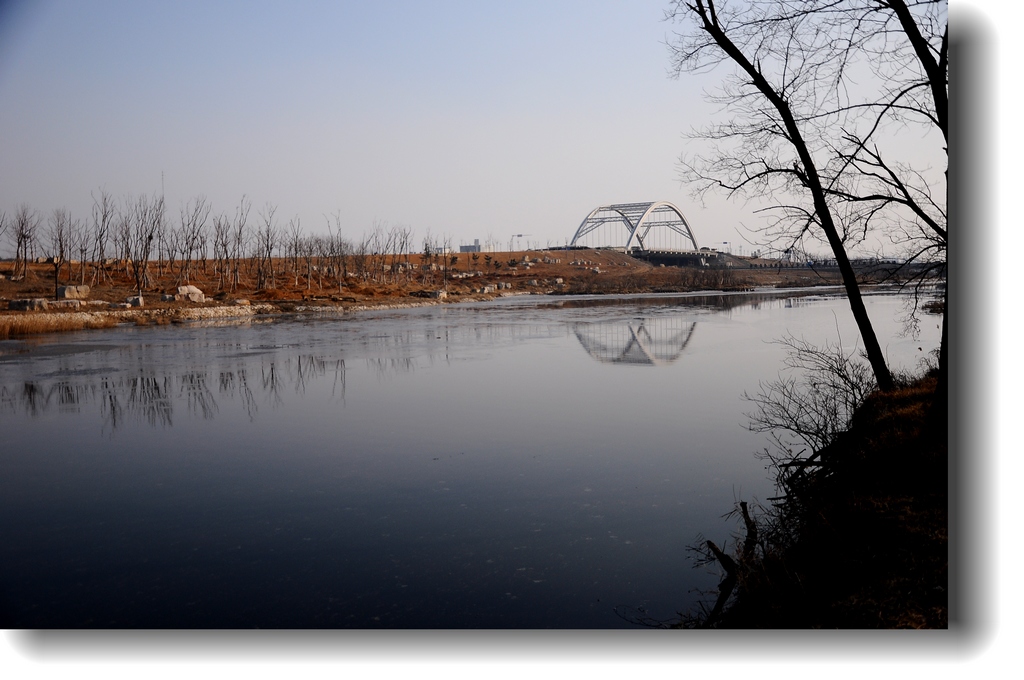 DSC_9776.jpg