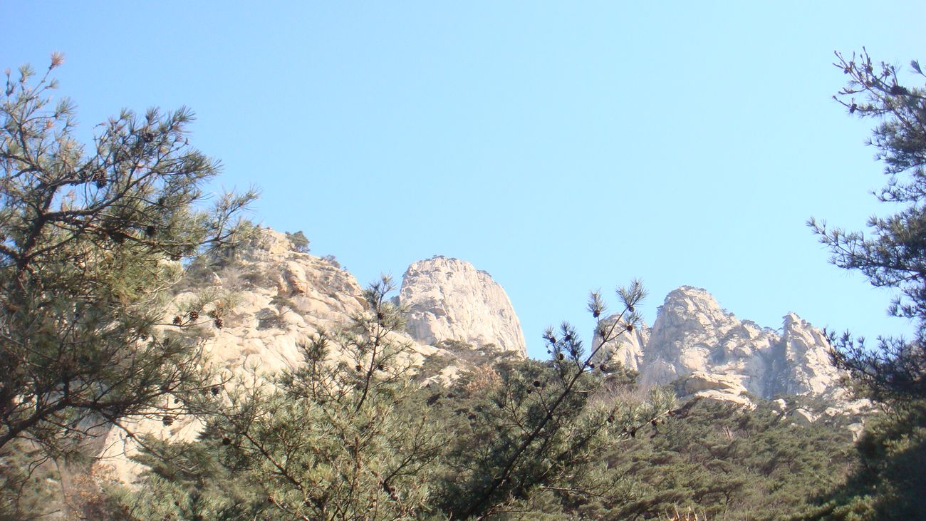 nEO_IMG_DSC08511.jpg