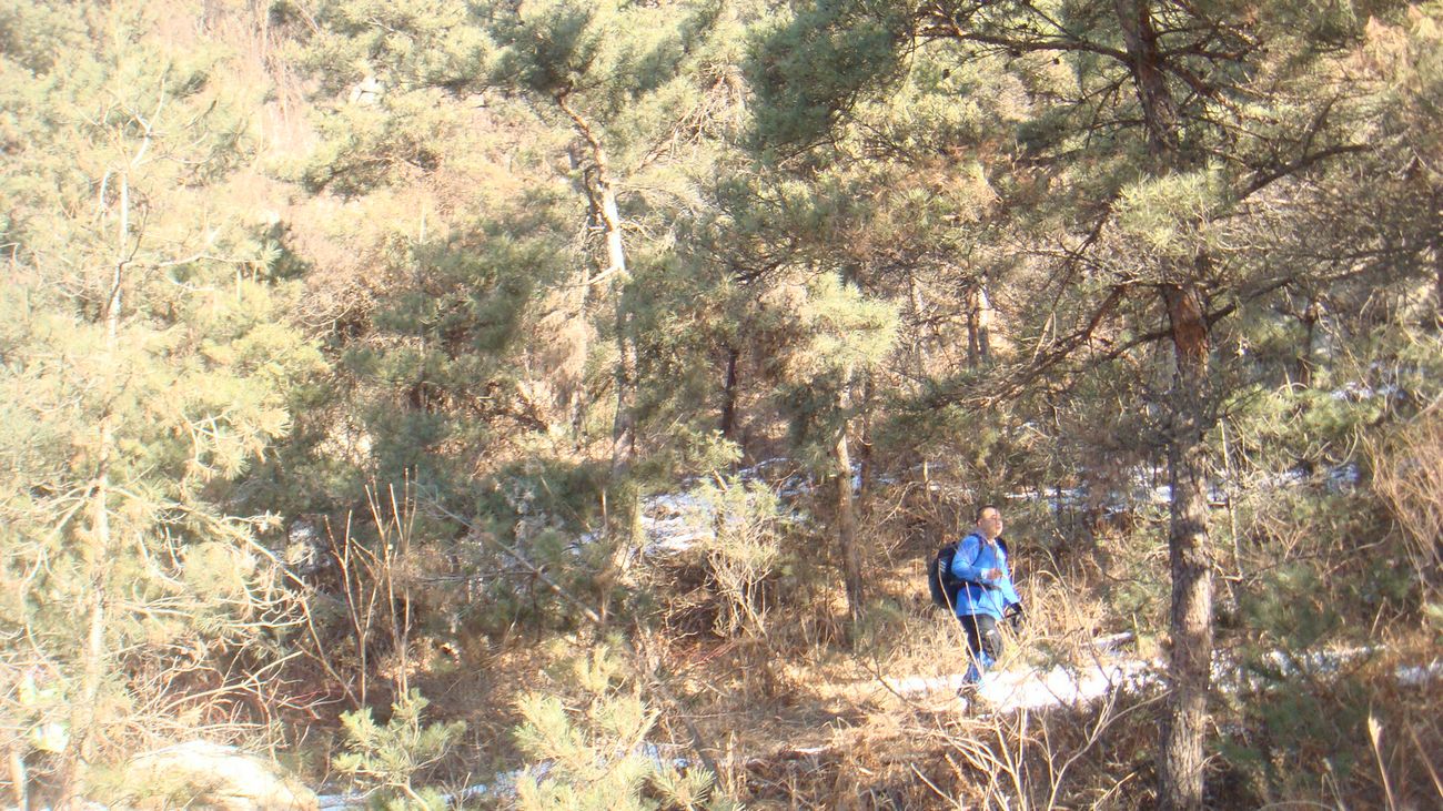 nEO_IMG_DSC08508.jpg