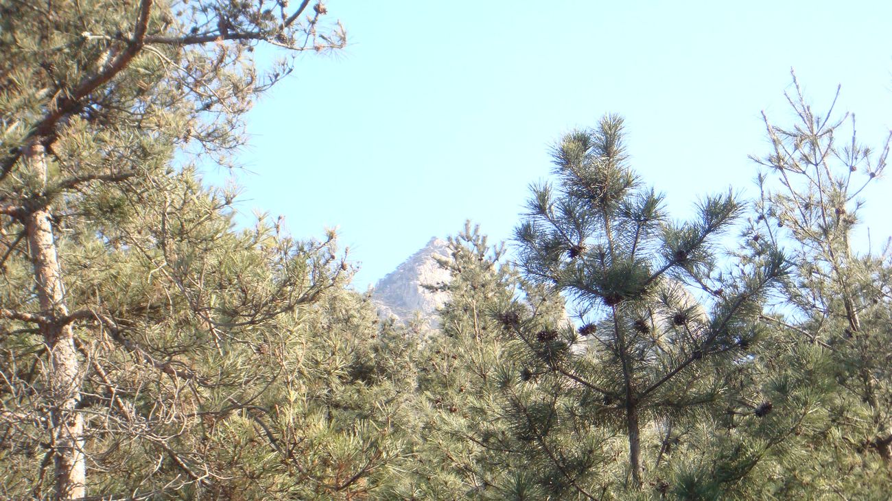 nEO_IMG_DSC08510.jpg