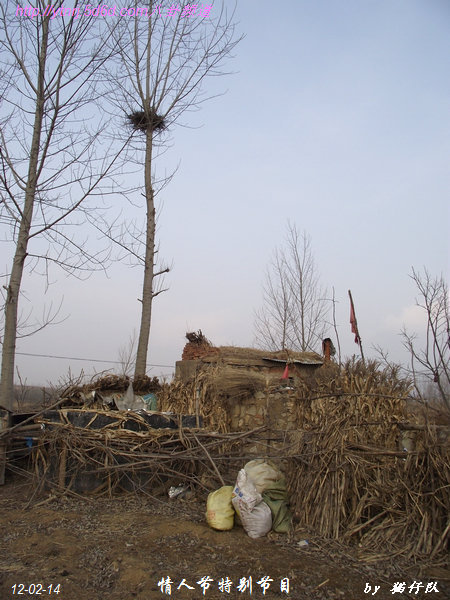 DSCF4033.jpg