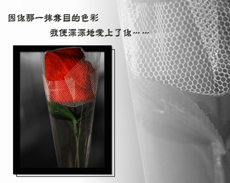2012的情人节.jpg