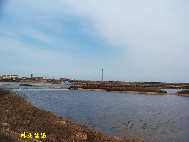 100_5031_缩小大小.JPG