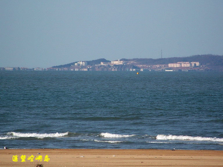 100_5044_缩小大小.JPG