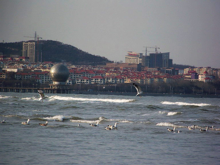 100_5094_缩小大小.JPG