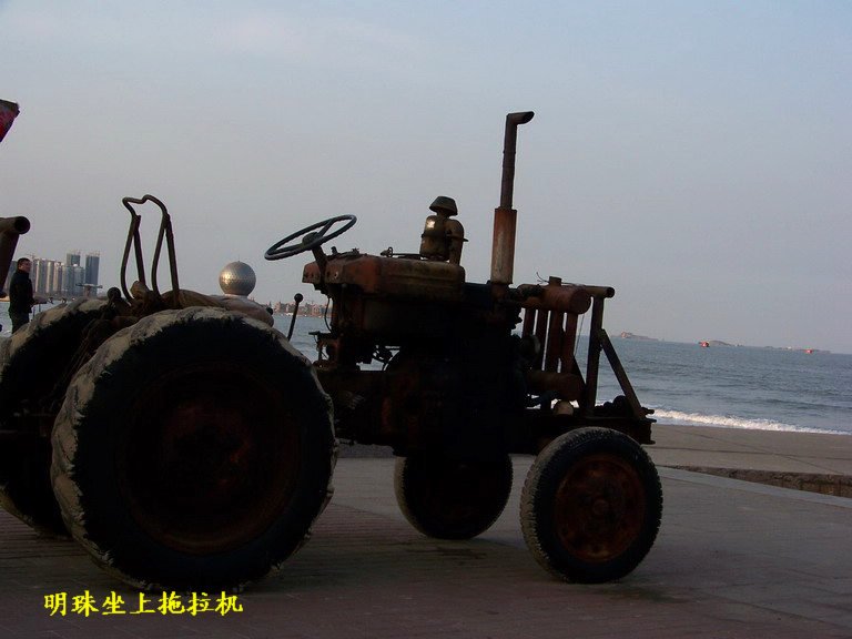 100_5136_缩小大小.JPG