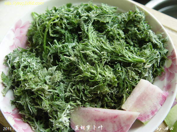 DSC07500.jpg