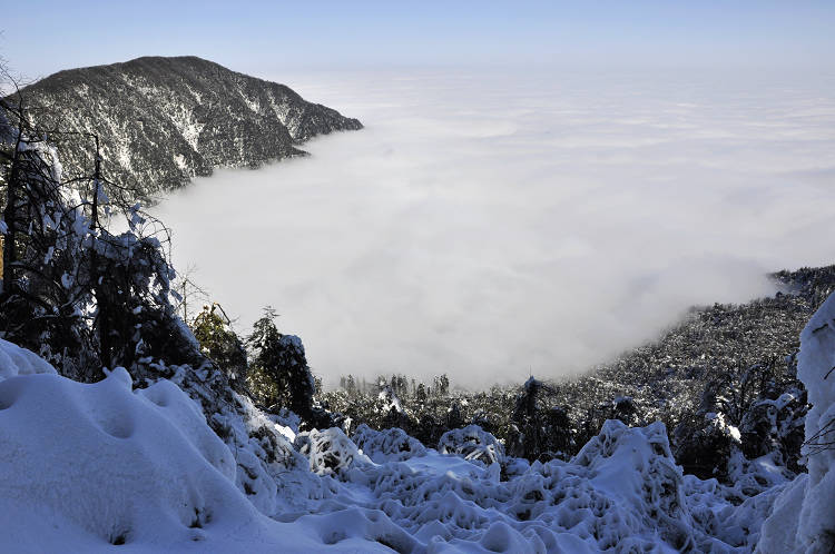 乐山峨嵋9.jpg