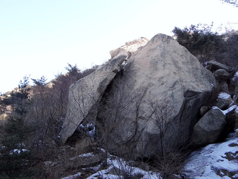 DSC00385.jpg