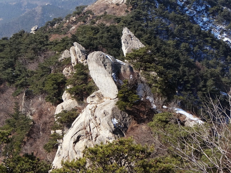 DSC00545.jpg