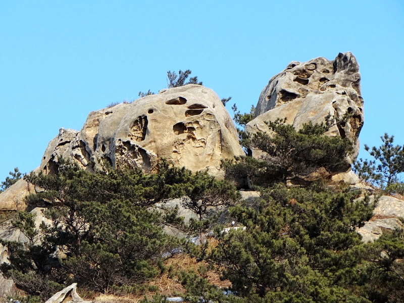 DSC00625.jpg