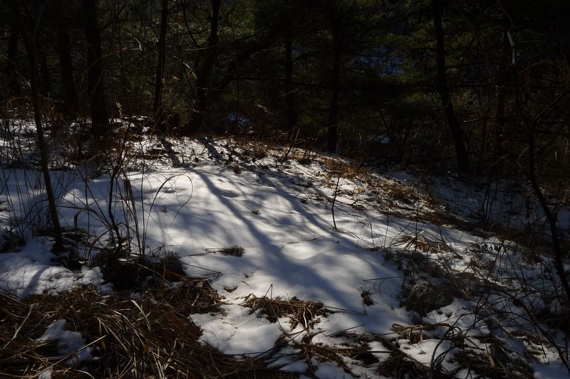 P1090177.jpg