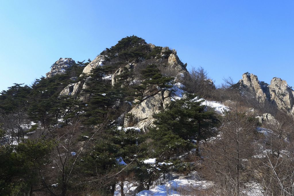 P1090227.jpg