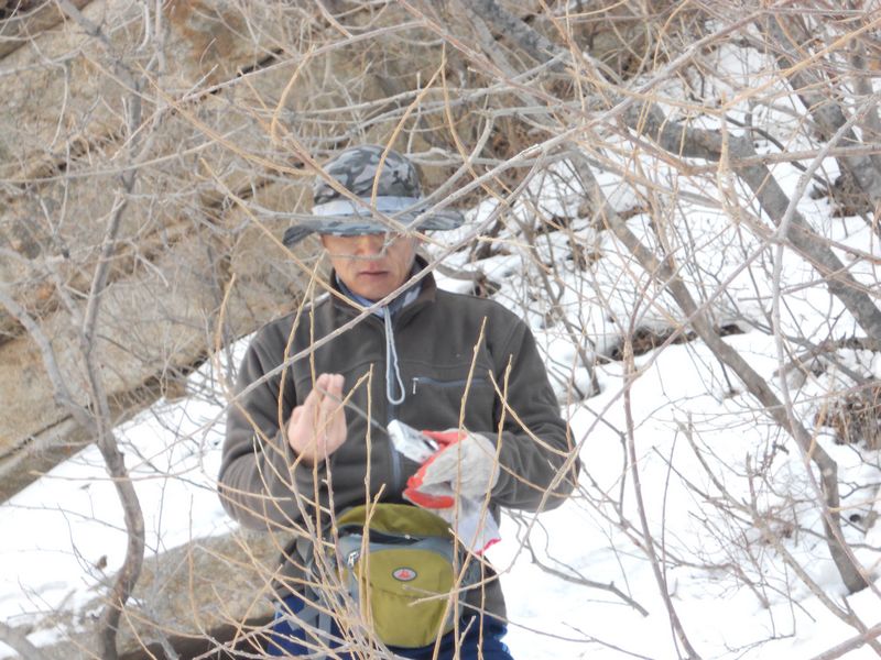 -1203 018.jpg
