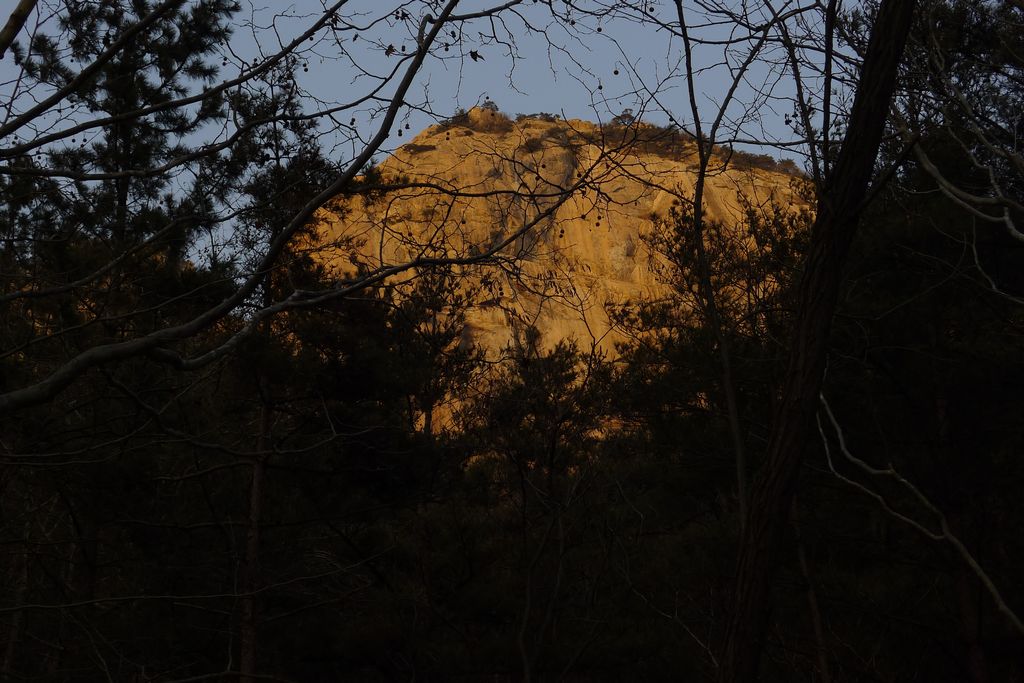 P1090354.jpg
