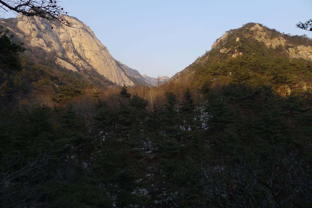 P1090341.jpg
