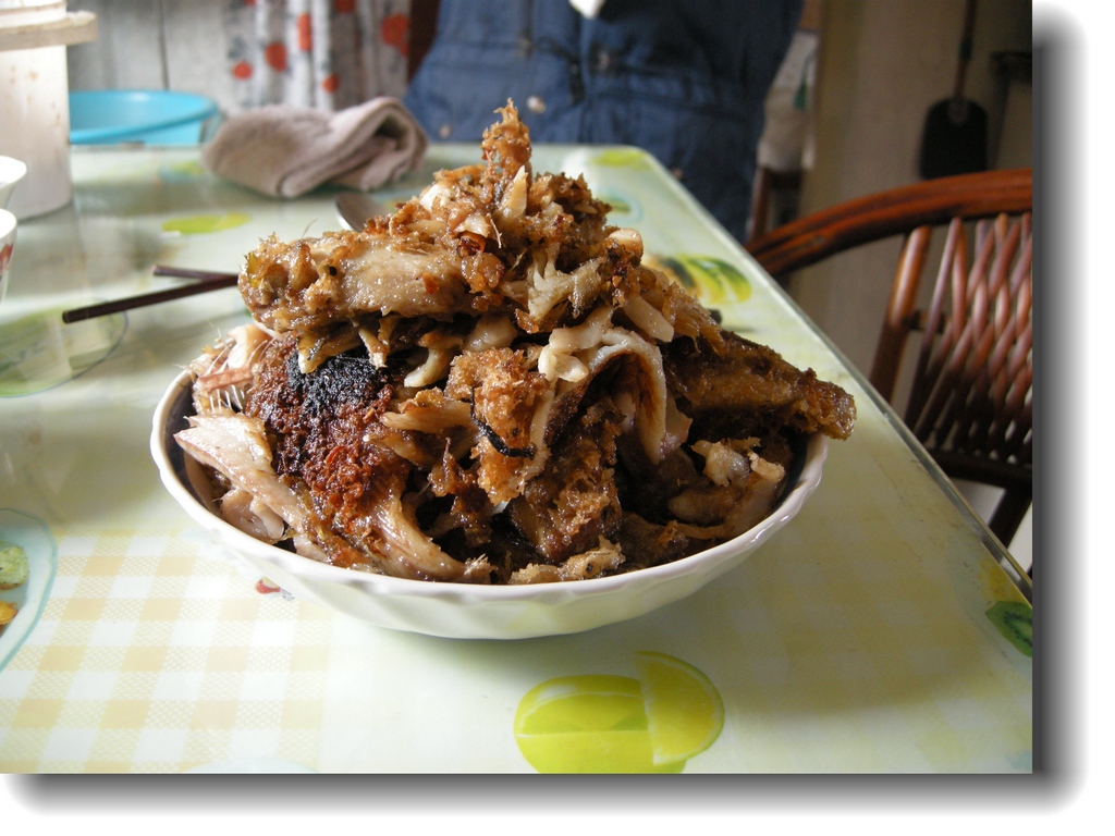 DSCN6669.jpg