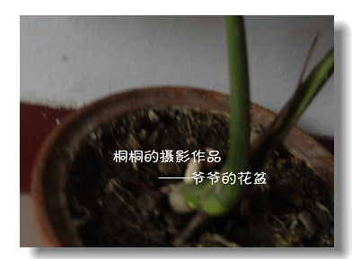 DSC00028.JPG