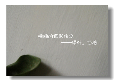 DSC00015.JPG