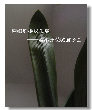 DSC00053.JPG