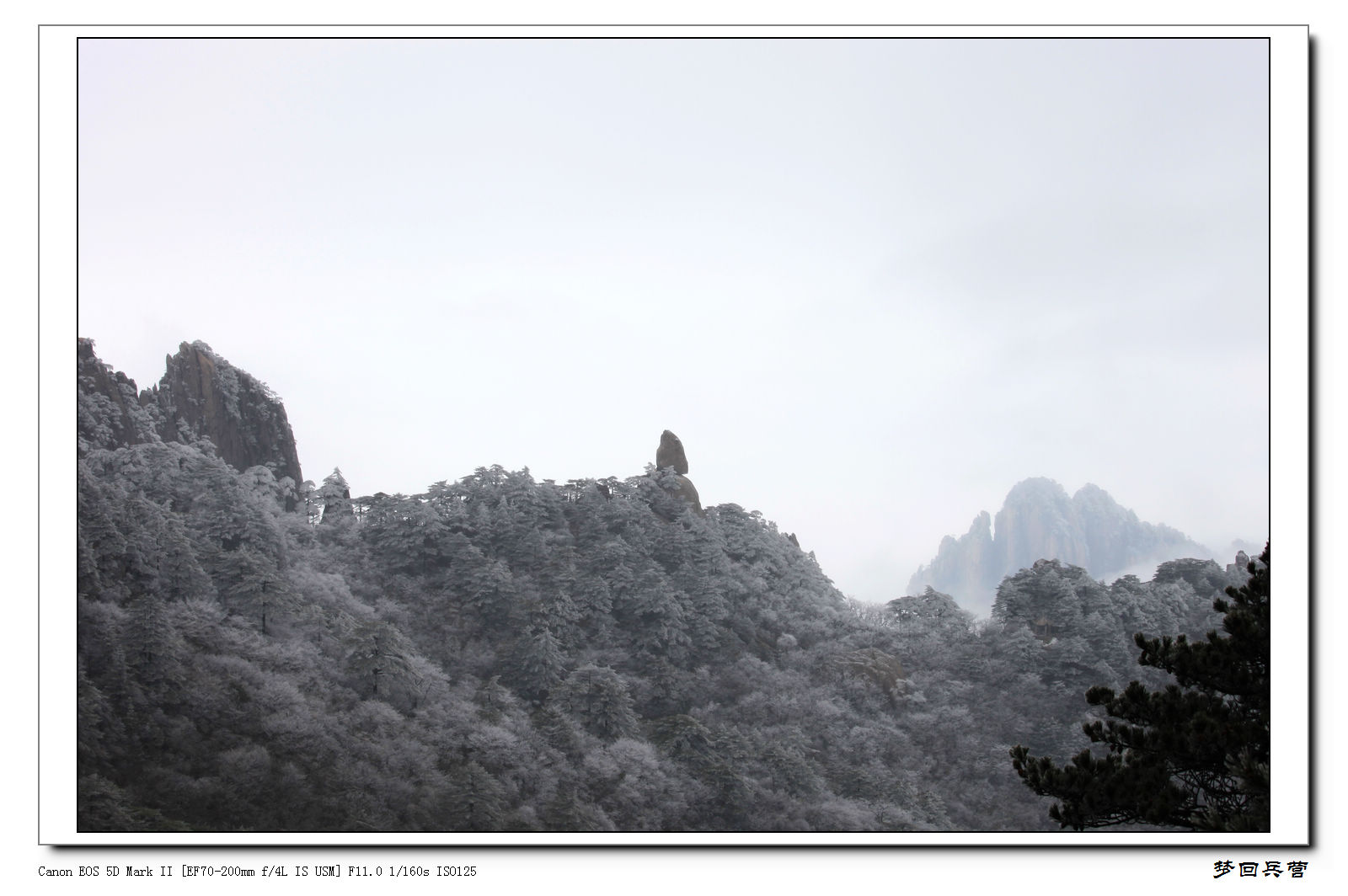 山 293.jpg
