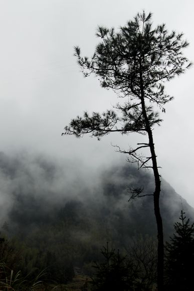 _MG_6613.jpg