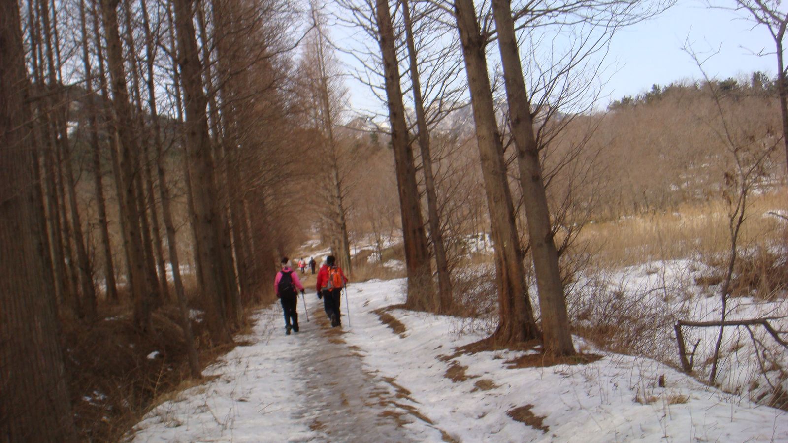 nEO_IMG_DSC08867.jpg