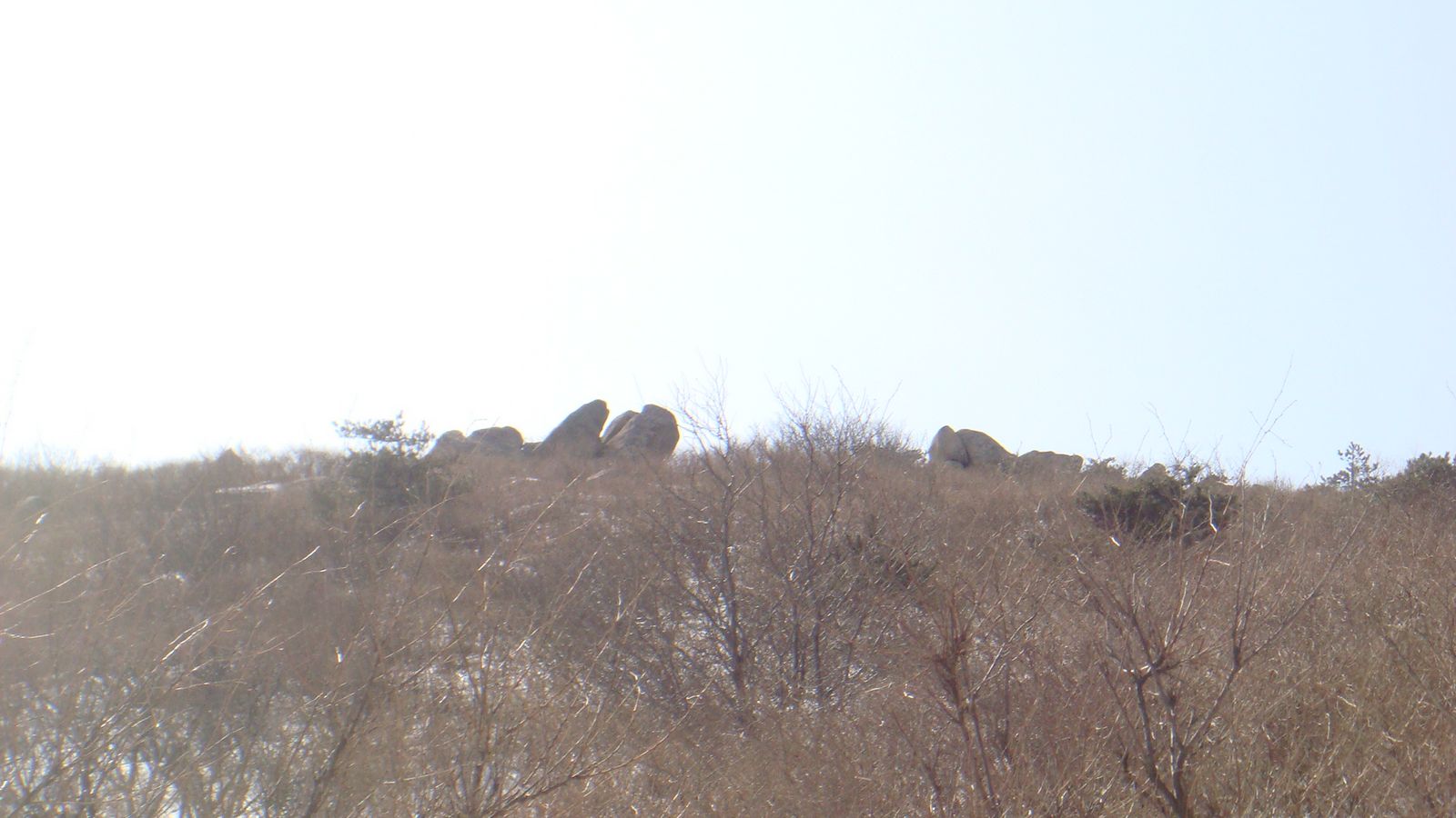 nEO_IMG_DSC08893.jpg
