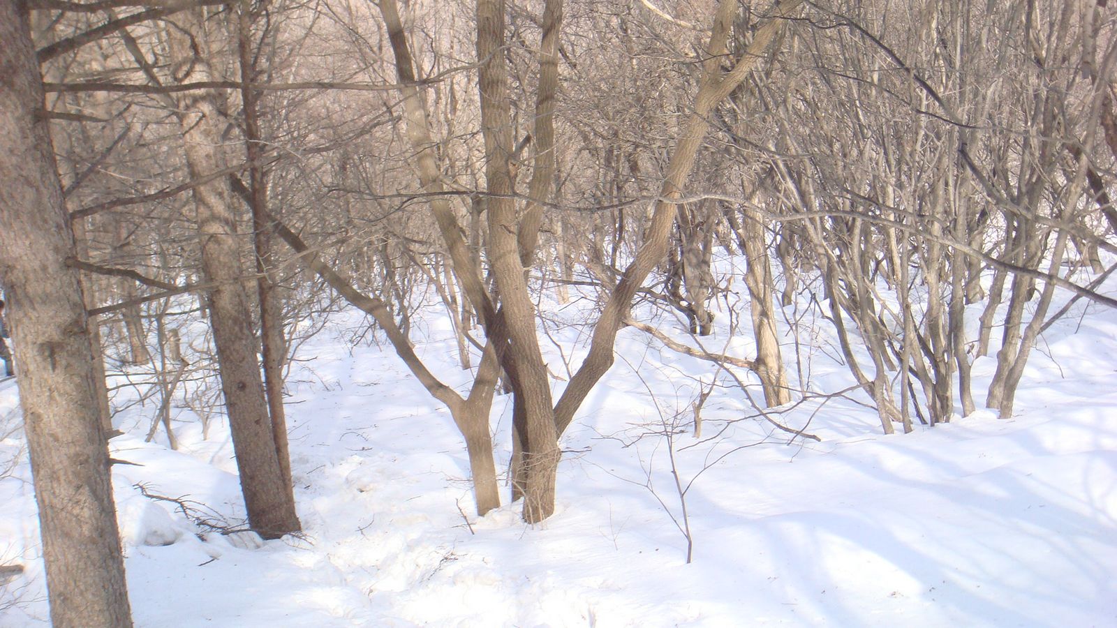 nEO_IMG_DSC08939.jpg