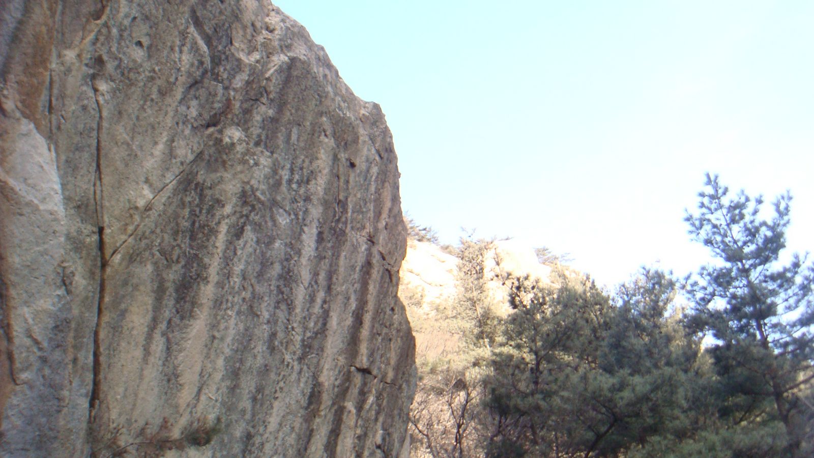 nEO_IMG_DSC08943.jpg